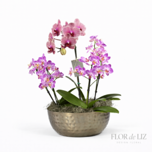 Jardim de Orquídeas | Cachepot Metálico