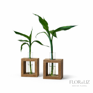 Bambu da Sorte - Suporte de madeira