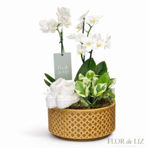 Kit Maternidade com Orquídea e Sapatinho